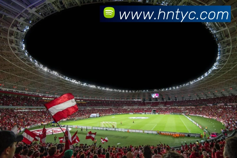 太阳城网站平台生态图