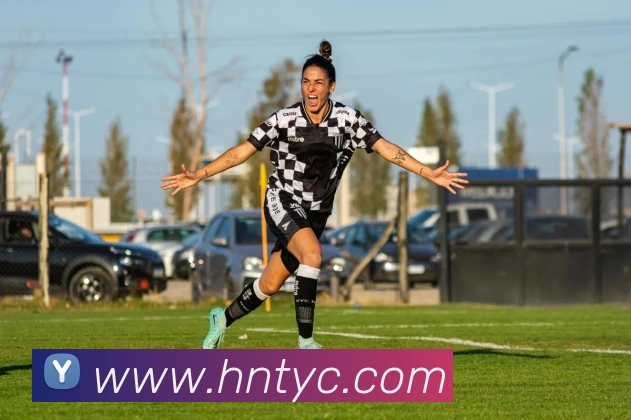 太阳城网站平台生态图